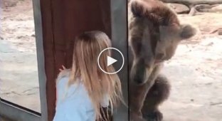 Девочка сыграла в прятки со скучающим в зоопарке медведем
