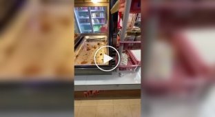 Парень порадовал голодного пса