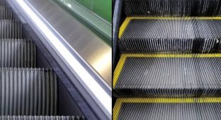Why does an escalator need brushes? (6 photos)