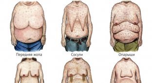 Такие разные мужчины или красота мужского тела (фото)