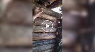Российский солдат установил растяжку на входе в блиндаж, чтобы уберечься от приспешников из КНДР