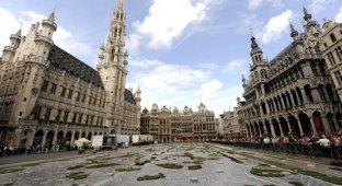 Цветочные ковры на центральной площади Брюсселя (9 фото)