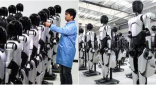 China Starts Producing Humanoid Robots Every 30 Minutes (3 photos + 2 videos)