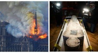 In Notre Dame de Paris found a sarcophagus - it was a mummy with a sawn skull (6 photos)