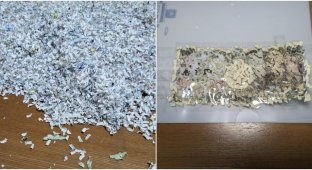 A Japanese man spent three weeks collecting a bill that accidentally fell into a shredder (5 photos)