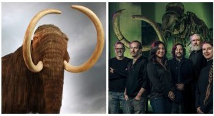 Британські вчені збираються до 2028 року воскресити мамонтів (3 фото)