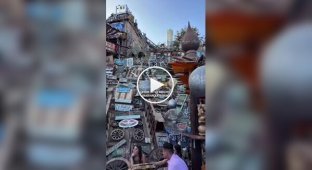 В Египте туристы нашли сказочное место, как из мультфильма