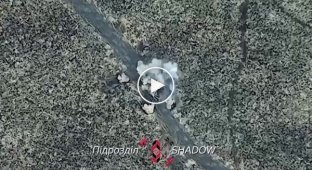 A Ukrainian drone drops ammunition on Russian infantry in the Avdeevka area of the Donetsk region