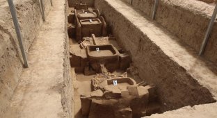 Ancient chariots with harnessed horses unearthed in China (4 photos)