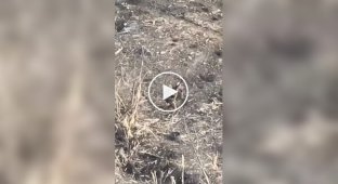 Direct hit by drone on Russian occupier