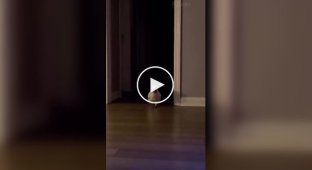 Пернатый потомок динозавров