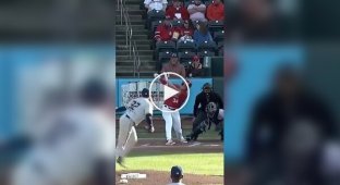 A funny moment in baseball