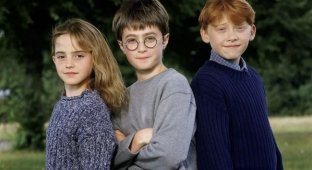 Actors who will play leading roles in the Harry Potter series (6 photos)