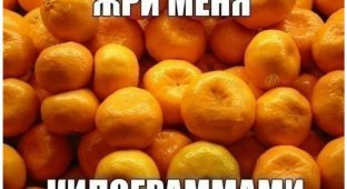 А любите ли вы мандарины так, как люблю их я? (21 фото)