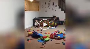 Dog appreciates pool with balls