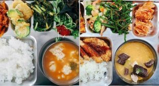 10 photos showing that South Korea has the best school lunches (11 photos)