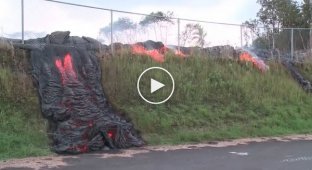Как вулканическая лава подбирается к поселку на Гавайях