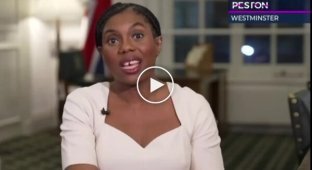 Крыса пробежала в Вестминестерском дворце во время интервью