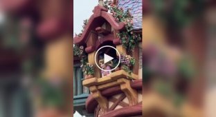 Crows attacked Rapunzel at Disneyland