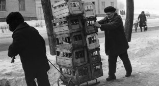 Как в СССР сдавали бутылки (7 фото)