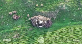 Оккупант задымился в кустах после попадания дрона