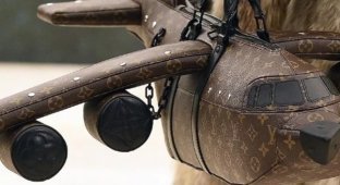 A passenger "flew" out of a plane because of her luxurious bag (3 photos)