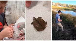 A father and son found a live turtle inside a fish (2 photos + 1 video)
