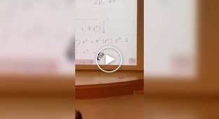 Пухнастий вчитель математики