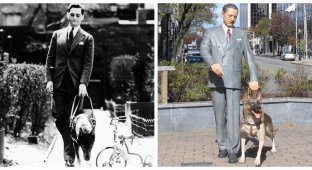 Morris Frank and Buddy: a touching story of a friendship that became iconic (9 photos)