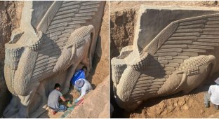 A huge statue of a deity is being excavated in Iraq (8 photos)
