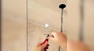 Красивое и удивительное (короткие видео). Выпуск 68
