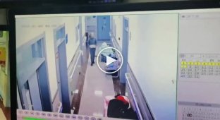 Дедушка с камнем