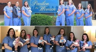 Бэби-бум: сразу семь акушерок из одного отделения больницы стали мамами (10 фото)