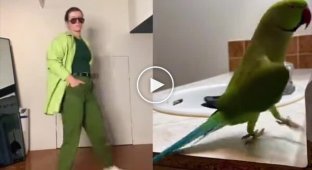 The girl masterfully repeated the parrot's dance