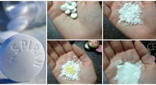 14 альтернативных способов применения аспирина (15 фото)