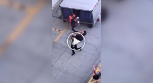 В аэропорту рабочий швырял дорогие гитары при разгрузке багажа