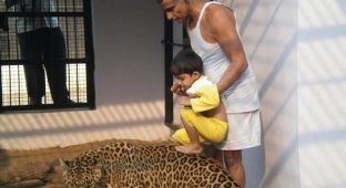 Хозяин зоопарка рискует ребенком (9 фото) (жесть)