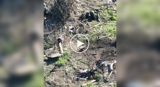 Спецназівці показали поле бою після чергового штурму росіян