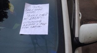 В Санкт-Петербурге злоумышленник облил автомобиль кислотой и пригрозил хозяйке смертью (3 фото)