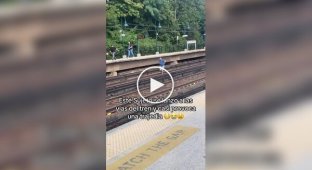 У США поліцейський і порушник ледь не загинули на рейках