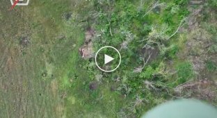 Воїни 5 ОШБр знищили ворожий безпілотник, транспорт росіян, бронетехніку та мінометну позицію