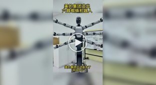 Представлен робот с шестью руками, умеющий выполнять несколько задач одновременно