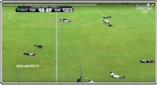 Все футболисты во время матча вдруг упали на землю (6 фото)