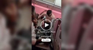Пьяный индиец закатил истерику в самолете