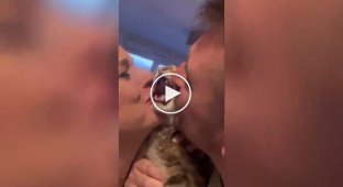 Kissed: the cat is not delighted with the tenderness of the owners