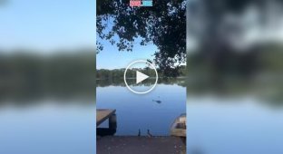 Во Франции пожарный вертолет рухнул в пруд и разбился