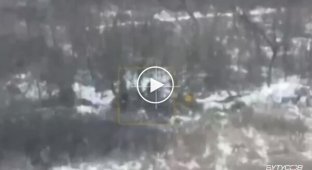 FPV-дрон Диких Шершнів ликвидировал двух оккупантов, дравшихся между собой в кустах