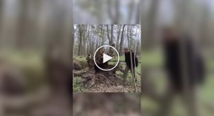 A guy made a home in a fallen tree