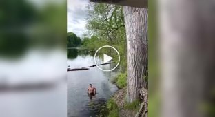 Weird Videos (Short Videos) Issue 19