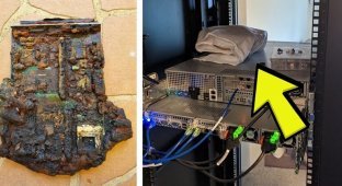 Everyday life of one system administrator: suddenness, dementia and pastries (17 photos)